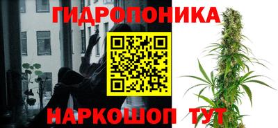 трава Свободный