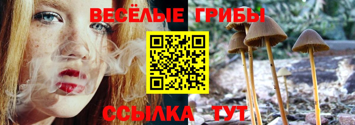 Псилоцибиновые грибы Magic Shrooms  Вход с VPN  Белебей  Псилоцибиновые грибы мицелий 